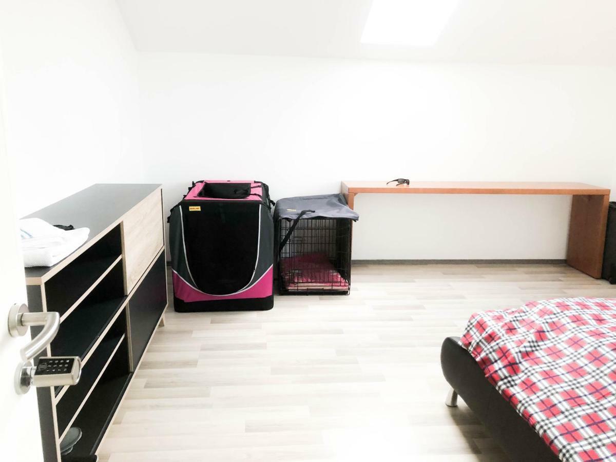 Zwettl an der Rodl Private Villa מראה חיצוני תמונה